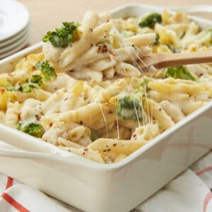 Chicken Alfredo Casserole