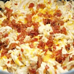 Creamy Shredded Chicken w Bacon